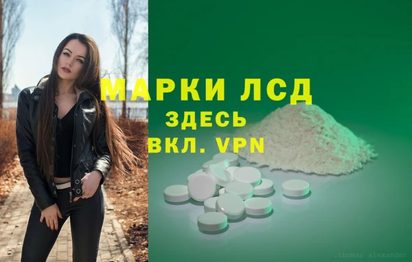 дживик Дмитров