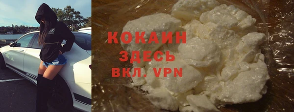 дживик Дмитров