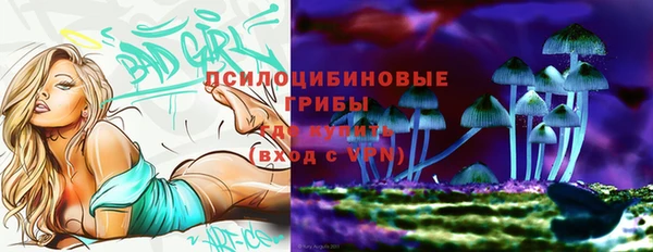 дживик Дмитров