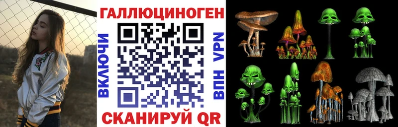 Псилоцибиновые грибы Cubensis  Купить где  Кореновск 