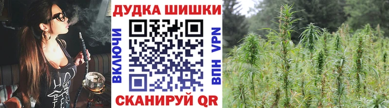 Конопля сатива  Купить где  Кореновск 